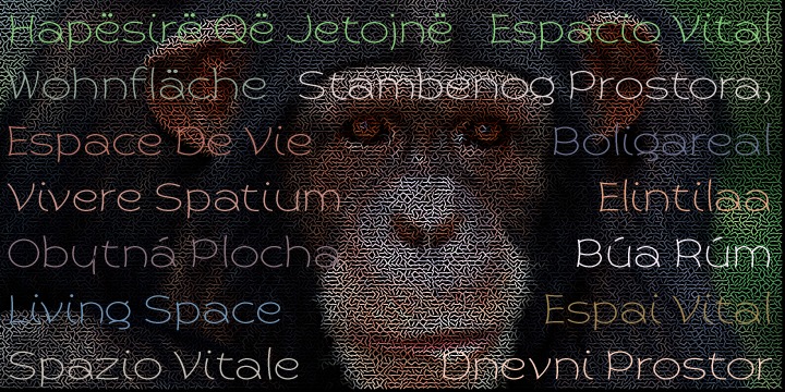 Primate Regular Font preview